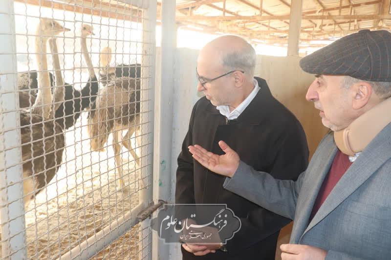 امنیت غذایی 12